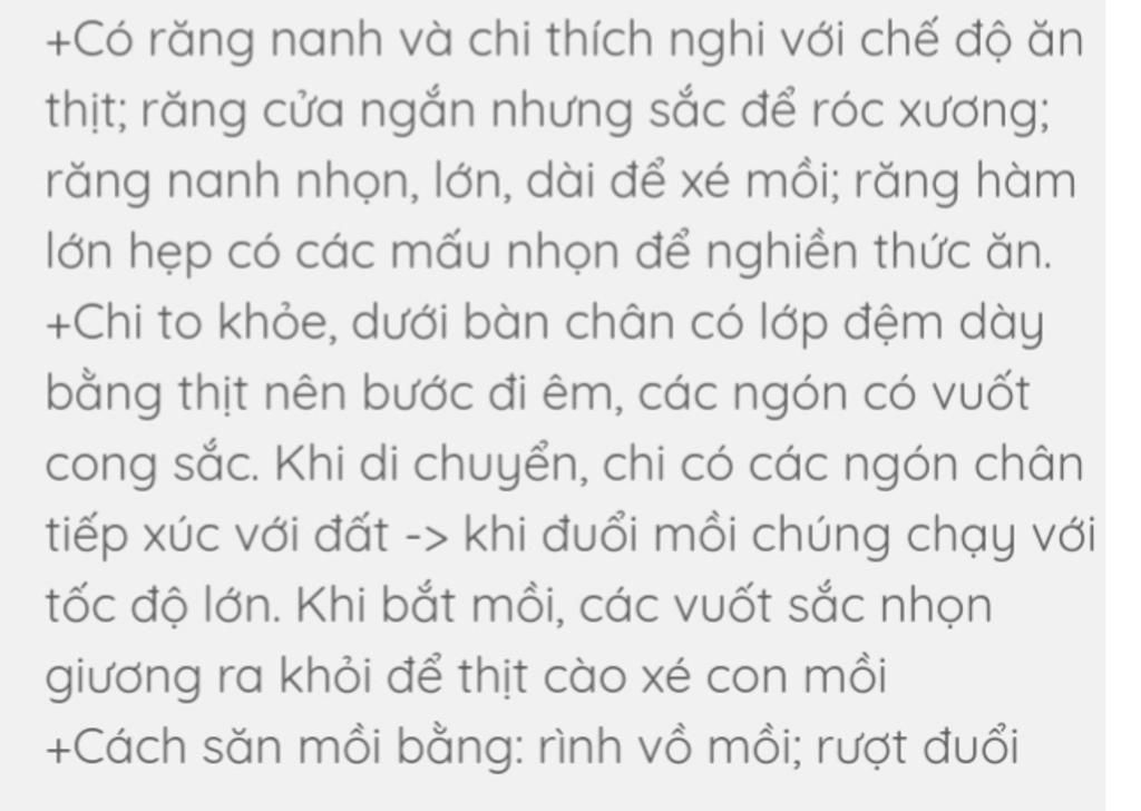 dac-diem-cua-bo-thu-an-thit-thich-nghi-voi-doi-song-an-thit-san-moi-nhu-the-nao