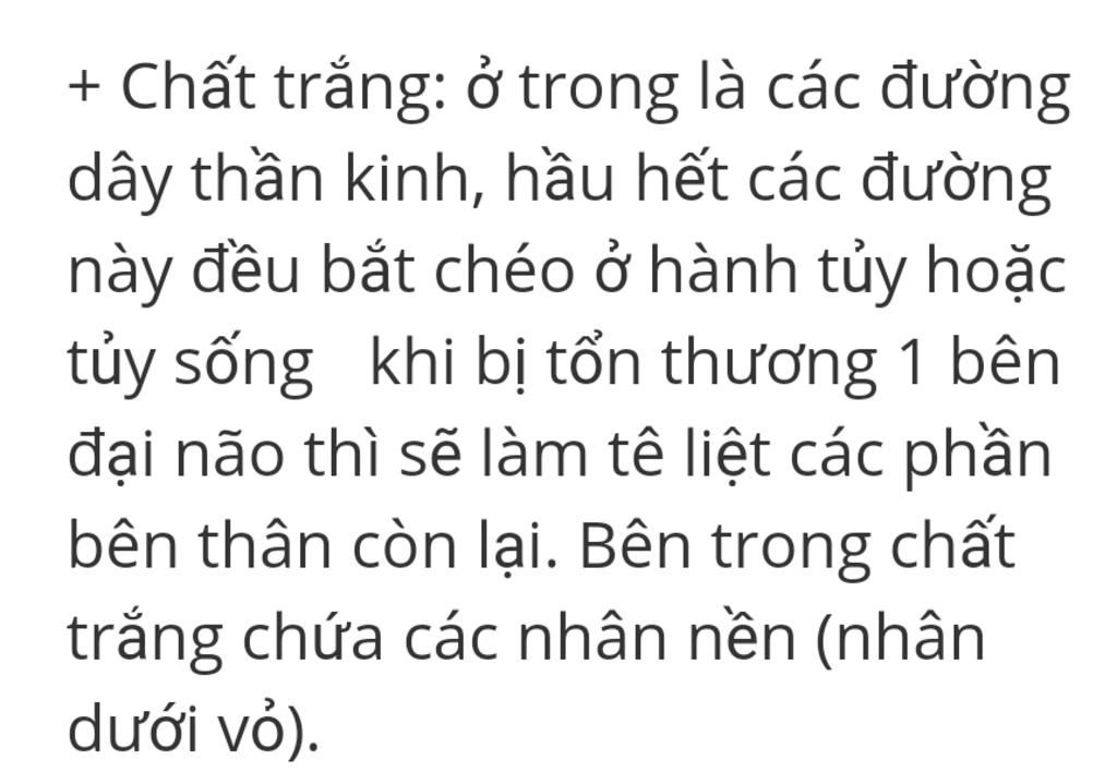 dac-diem-cua-duong-dan-truyen-trong-chat-trang-cua-dai-nao