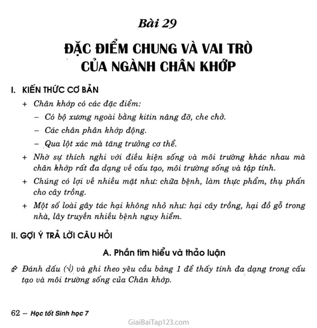 dac-diem-cua-nganh-chan-khop-vai-tro-thu-tien-cua-nganh-chan-khop