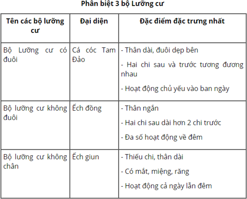 dac-diem-dac-trung-nhat-de-phan-biet-3-bo-trong-lop-luong-cu-o-viet-nam-la-gi