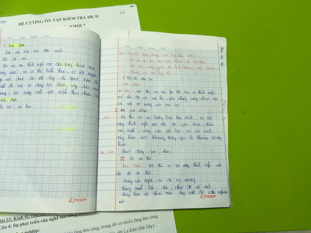 dac-diem-dai-dien-bo-guoc-chan-le-bo-voi-bo-linh-truong-an-sau-bo-gam-nham-an-thit-sinh-san-vo-t