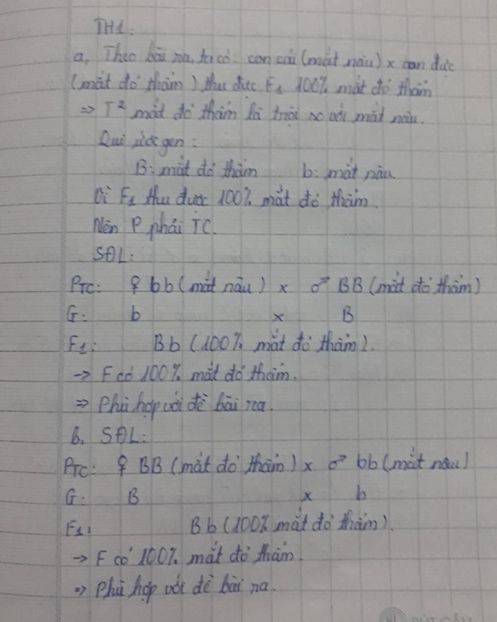 day-la-ket-qua-1-so-phep-lai-o-ruoi-giam-th1-a-p-con-cai-mat-nau-con-duc-mat-do-tham-f1-100-mat