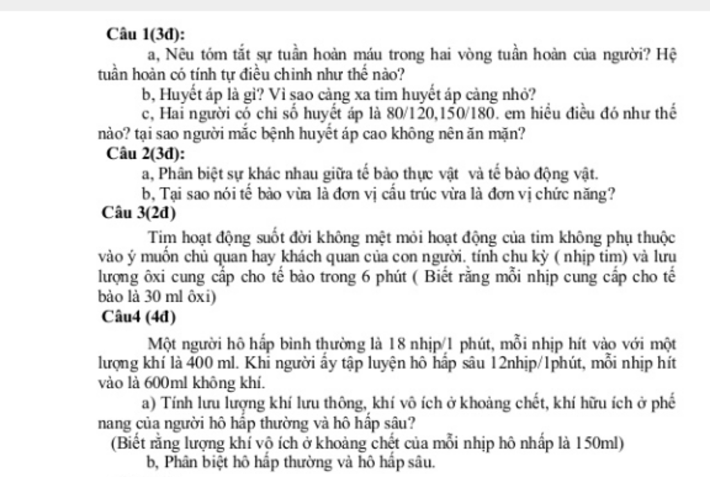 de-cuong-ve-he-tuan-hoan-lop-8-hk-1-giup