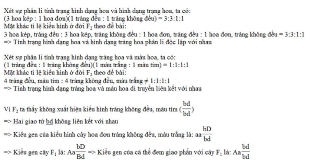 dem-lai-giua-hai-bo-me-thuan-chung-khac-nhau-ve-3-cap-tinh-trang-tuong-phan-thu-duoc-f1-dong-loa
