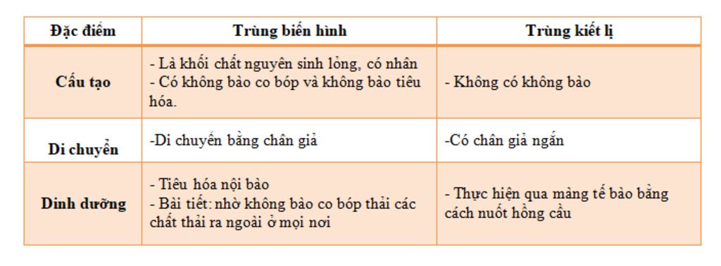 diem-khac-nhau-giua-trung-kiet-li-va-trung-bien-hinh