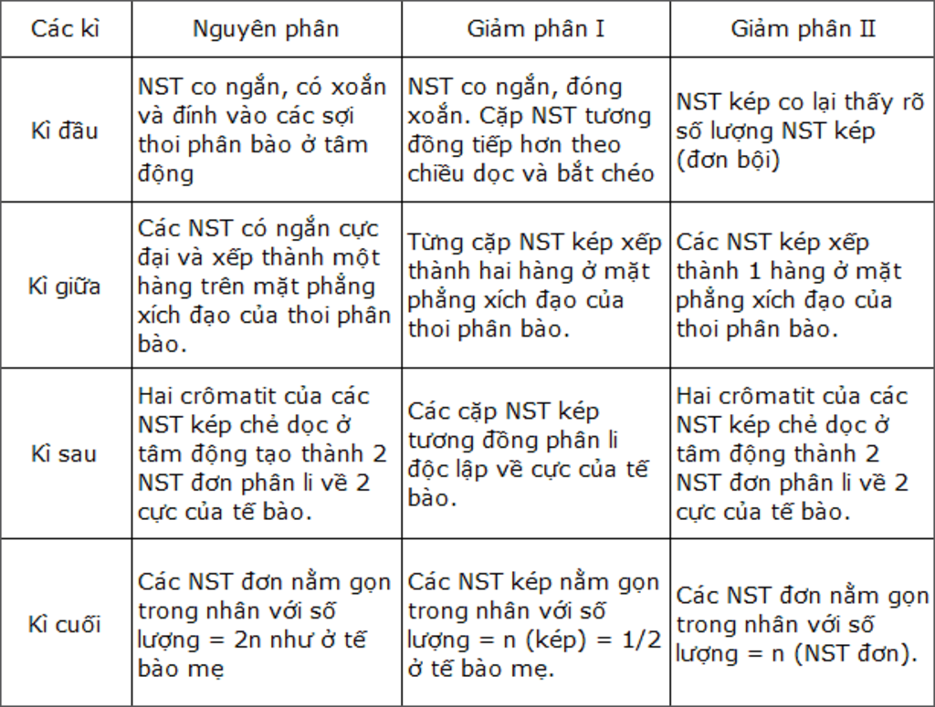 dien-bien-hinh-thai-su-sap-ep-cua-cac-nst-trong-cac-ki-nguyen-phan-giam-phan