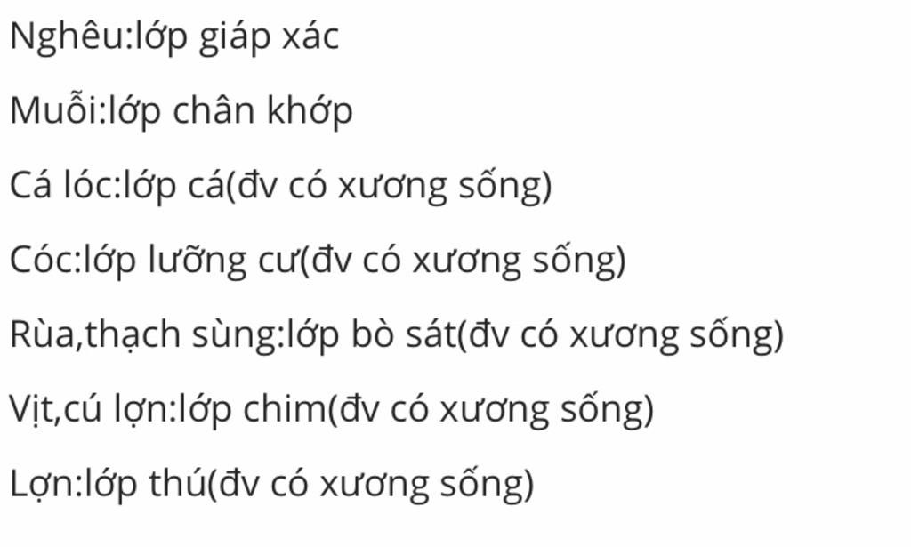 em-hay-cho-biet-cac-dong-vat-sau-thuoc-nganh-lop-nao-va-ep-chung-theo-thu-tu-tien-hoa-tu-thap-de