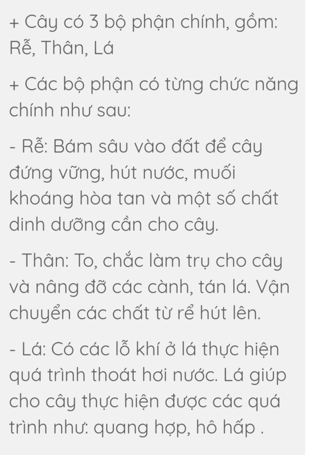 em-hay-neu-cau-tao-va-chuc-nang-cua-cac-bo-phan-cay-anh-nhu-than-la-canh