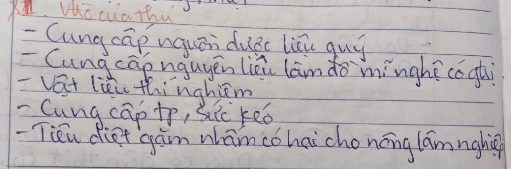 em-hay-neu-vai-tro-cua-lop-thu-doi-vs-doi-song-cua-con-nguoi-va-tu-nhien