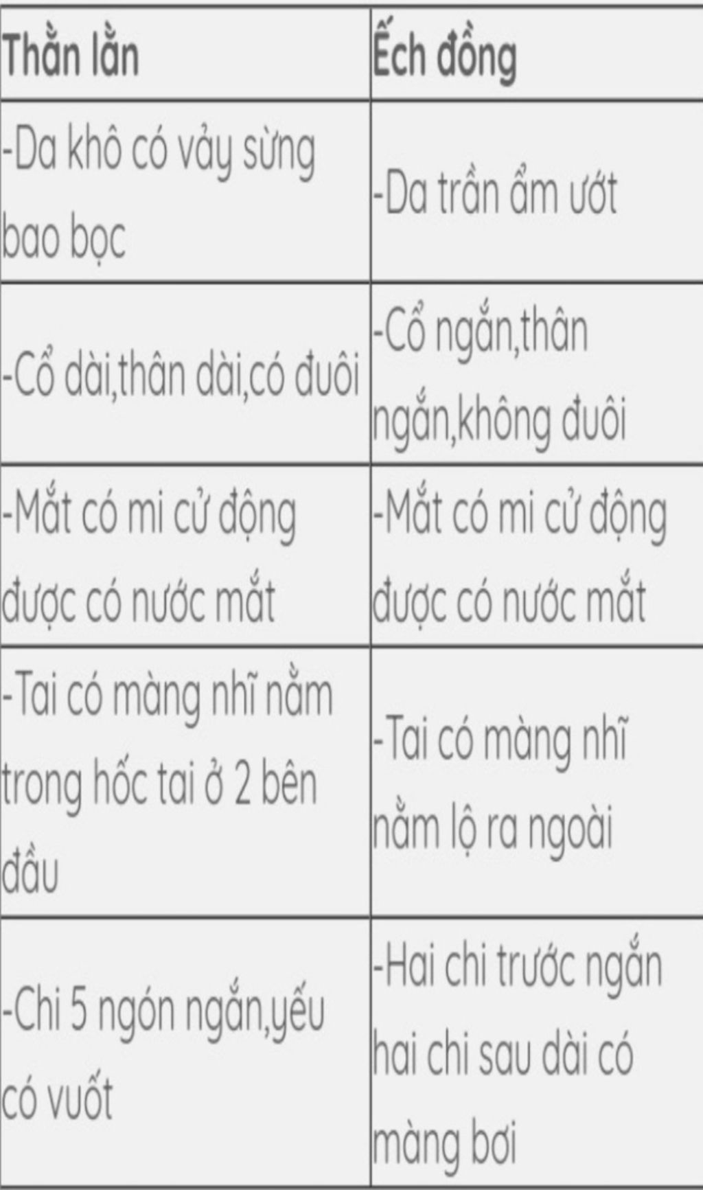 em-hay-so-sanh-dac-diem-cau-tao-ngoai-cua-ech-dong-va-than-lan-bong-de-thay-su-tien-hoa-cua-than