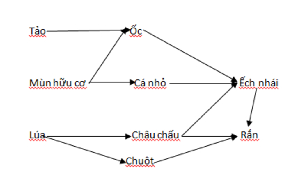 em-hay-su-dung-cac-du-kien-sau-de-tra-loi-cac-cau-hoi-trong-mot-quan-a-ruong-lua-gom-nhieu-quan