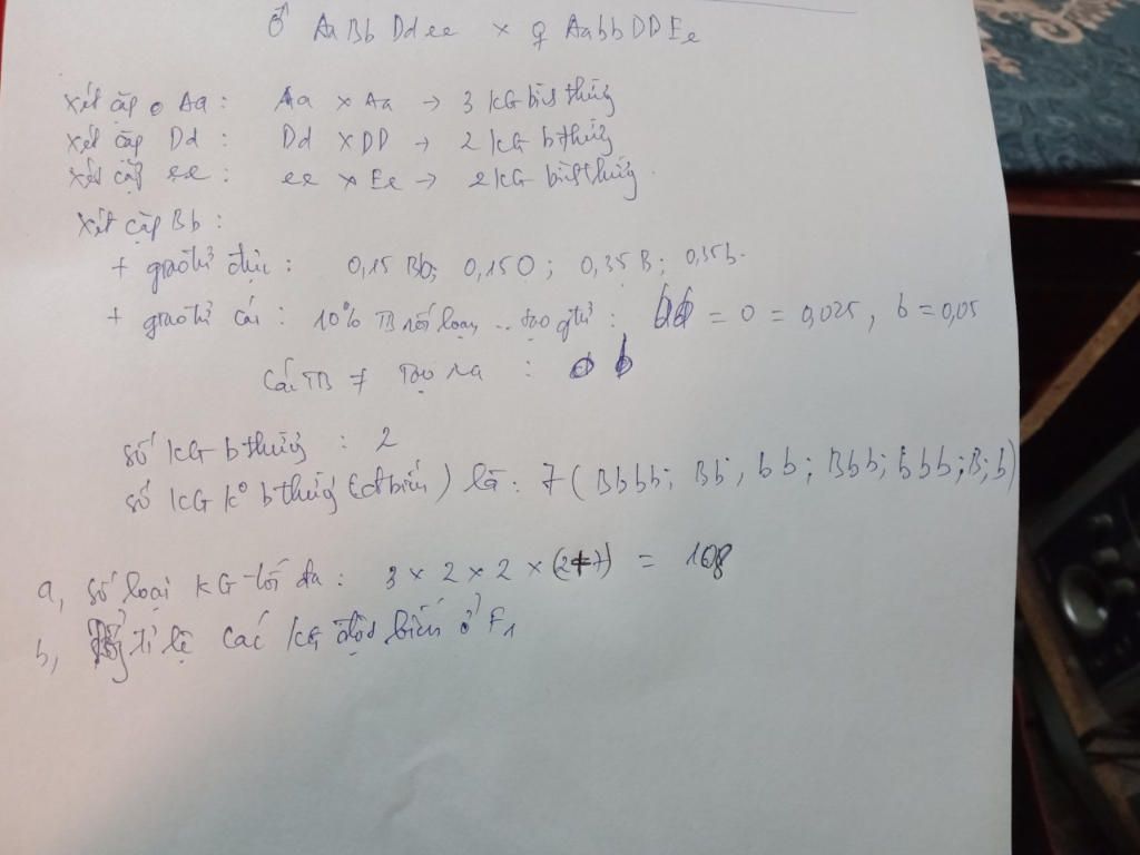 et-phep-lai-aabbddee-aabbddee-trong-qua-trinh-giam-phan-cua-co-the-duc-o-30-te-bao-sinh-tinh-co