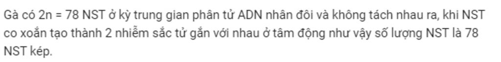 ga-co-2n-78-vao-ki-trung-gian-sau-khi-ay-ra-tu-nhan-doi-so-nst-trong-moi-tb-la-bao-nhieu
