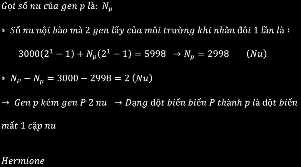 gen-p-co-3000-nucleotit-gen-p-dot-bien-thanh-gen-p-khi-hai-gen-nay-cung-nhan-doi-1-lan-da-lay-tu