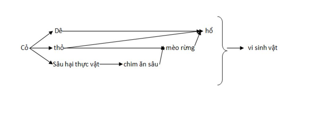 gia-su-co-1-quan-a-sinh-vat-gom-cac-loai-sinh-vat-sau-co-tho-de-chim-an-sau-sau-hai-thuc-vat-ho