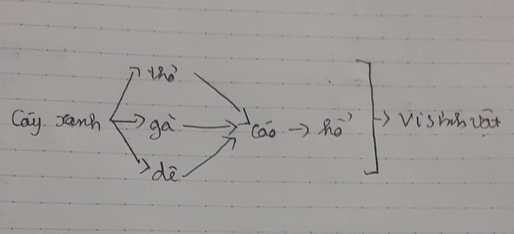 gia-su-co-1-quan-thai-sinh-vat-gom-cac-loai-sau-vi-sinh-vat-cao-tho-ga-ho-de-a-hay-ve-so-do-ca-t