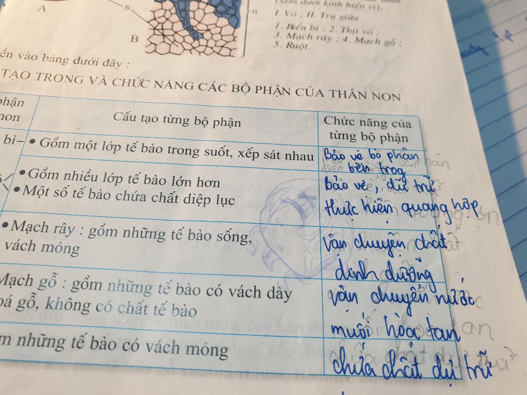 giai-bai-tap-cau-hoi-thao-luan-trang-49-sgk-sinh-hoc-6-quan-sat-h-15-de-thay-duoc-cau-tao-chung