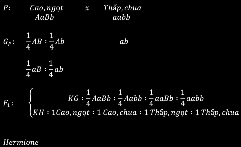 giai-gap-giup-e-vs-nha-mot-giong-ca-chua-a-cao-a-thap-b-qua-ngot-b-qua-chua-hai-cap-alen-quy-din