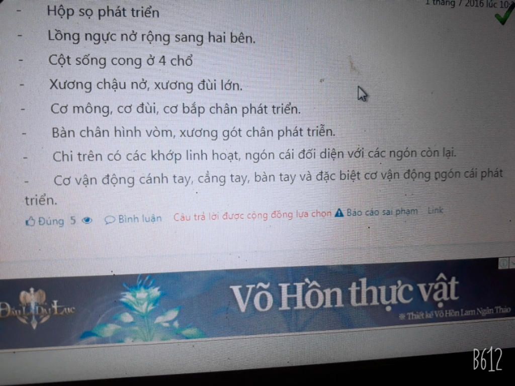 giai-giup-mik-cai-bai-nay-cau-tao-bo-uong-nguoi-thich-nghi-voi-qua-trinh-lao-dong-va-dung-thang