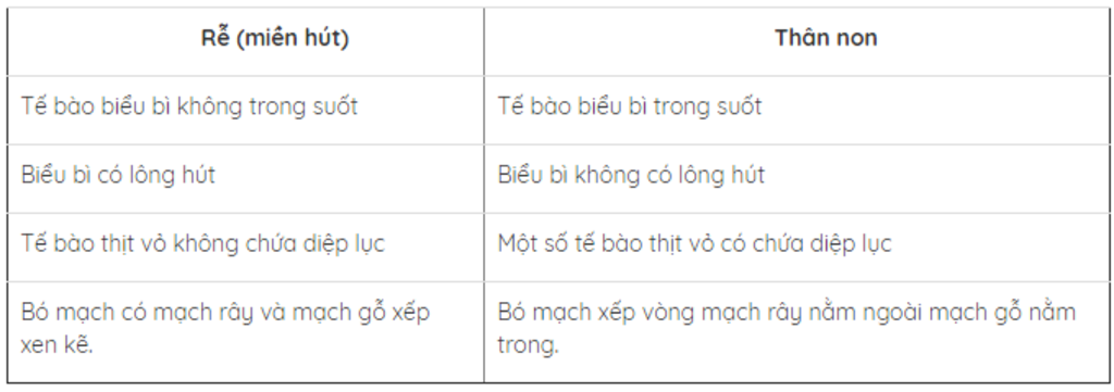 giai-ho-minh-2-bai-nay-nhe-cau-1-tim-dac-diem-giong-va-khac-nhau-cua-cau-tao-trong-cua-than-non