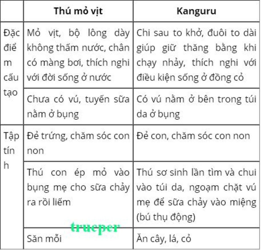 giai-thich-dac-diem-cau-tao-ngoai-cua-thu-mo-vit-va-kanguru-thich-nghi-voi-doi-song-cua-chung