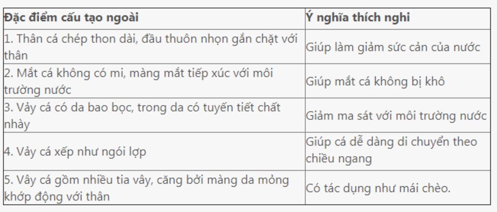 giai-thich-dac-diem-cau-tao-ngoai-thich-nghi-voi-doi-song-cua-ca-chep-ech-dong-than-lan-bong-chi
