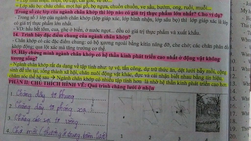 giai-thich-duoc-vi-sao-lop-sau-bo-co-tap-tinh-da-dang-va-phong-phu-lay-duoc-cac-vi-du-chung-minh