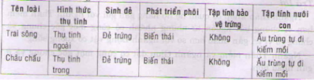 giai-thich-su-tien-hinh-thuc-sinh-san-huu-tinh-cho-vi-du