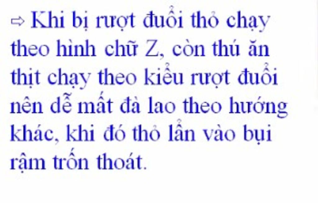 giai-thich-tai-sao-con-tho-chay-khong-dai-bang-suc-thu-an-thit-song-trong-1-so-truong-hop-van-th