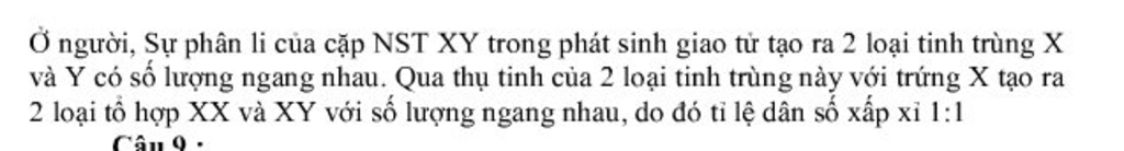 giai-thich-vi-sao-trong-cau-truc-dan-so-ti-le-nam-nu-la-1-1