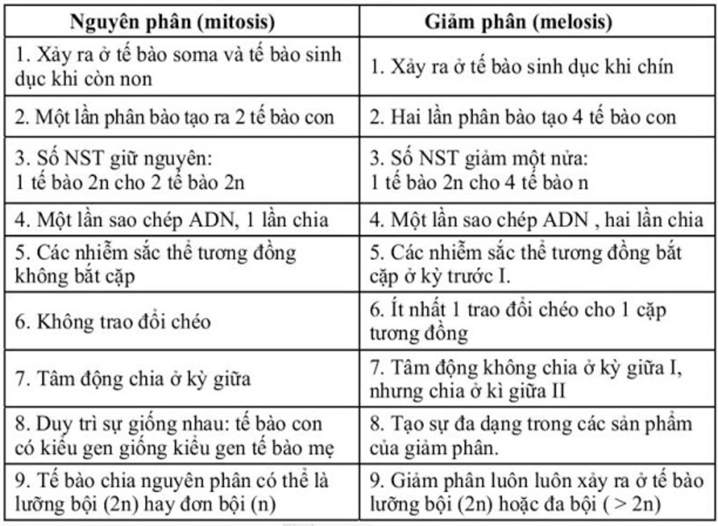 giam-phan-2-co-dac-diem-gi-khac-so-voi-nguyen-phan-a
