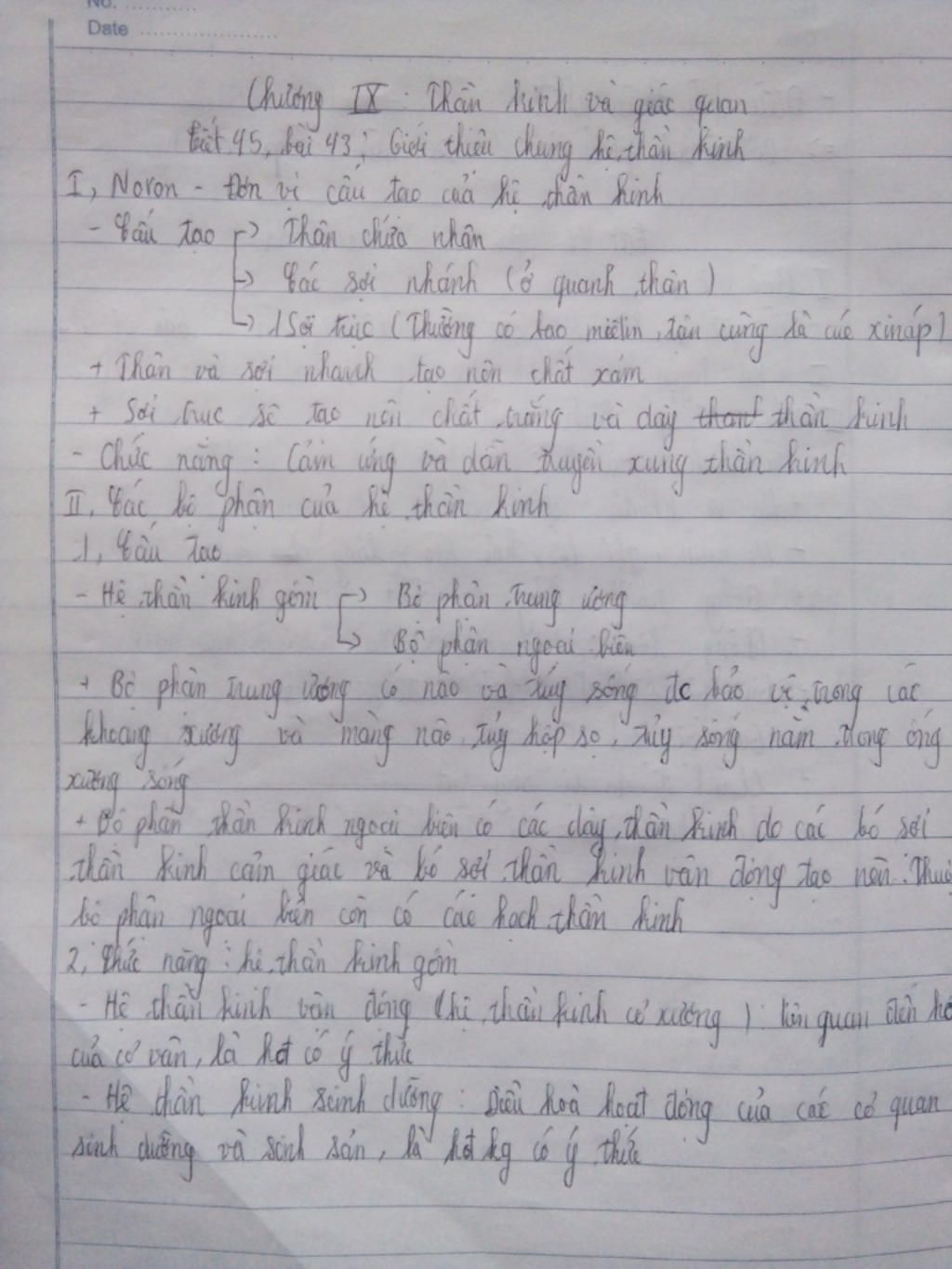 gioi-thieu-chung-ve-he-than-kinh-neu-chuc-nang-chung-cua-he-than-kinh