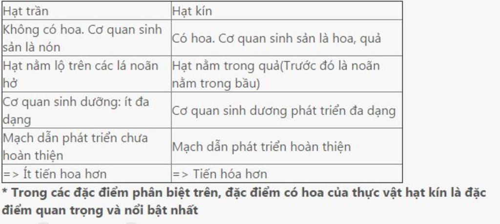 giua-hat-tran-va-hat-kin-co-nhung-dac-diem-gi-phan-biet-trong-do-co-dac-diem-nao-quan-trong-nhat