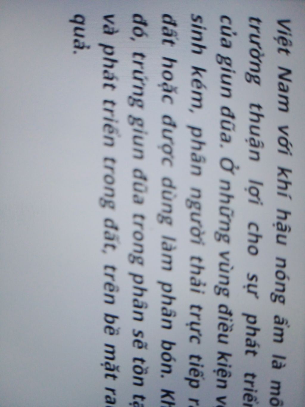 giun-dua-song-o-moi-truong-lao-hiccc