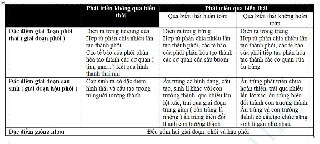 giuos-minh-voi-moi-nguoi-oi-hay-so-sanh-qua-trinh-phat-trien-o-dong-vat-khong-trai-qua-bien-thai