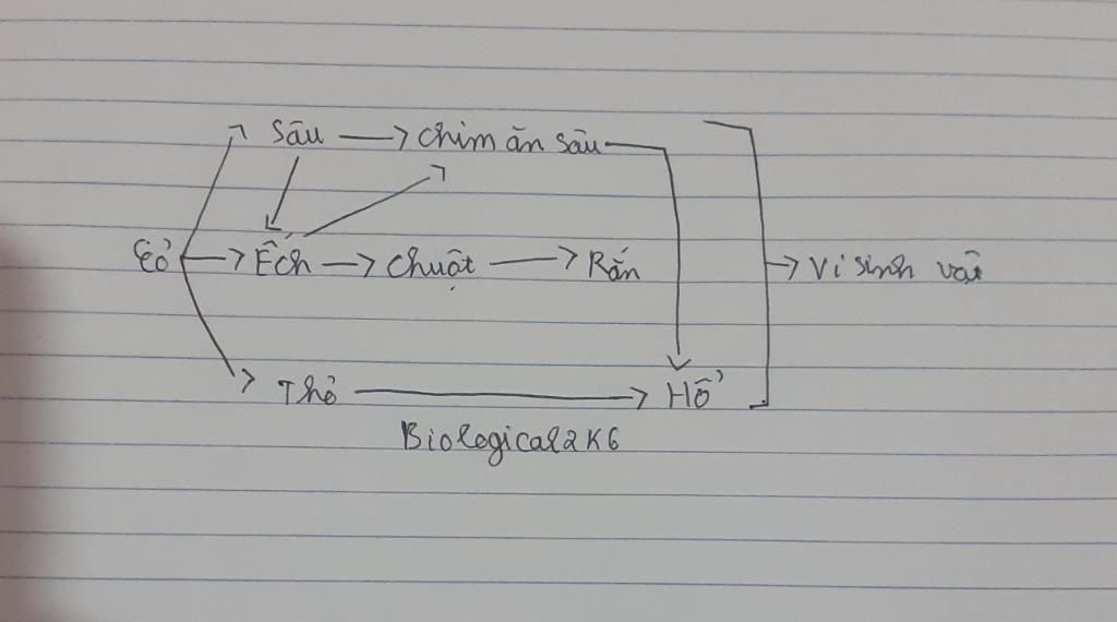 giup-em-cau-nay-voi-a-gia-su-1-quan-a-co-cac-sinh-vat-sau-co-tho-chim-an-sau-ho-ran-chuot-ech-vs