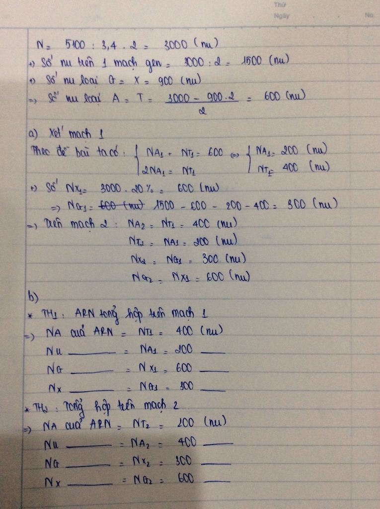 giup-em-cau-nay-voi-a-mot-phan-tu-adn-o-te-bao-vi-khuan-co-900-nucleotit-loai-g-va-co-chieu-dai