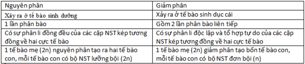 giup-mik-voi-diem-phan-biet-nguyen-phan-giam-phan