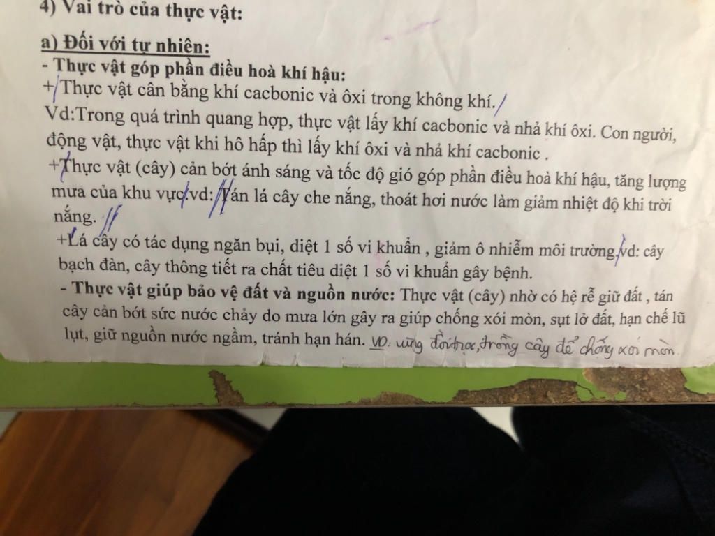 giup-minh-bai-nay-voi-neu-duoc-vai-tro-cua-thuc-vat-gop-phan-dieu-hoa-khi-hau-bao-ve-dat-nguon-n