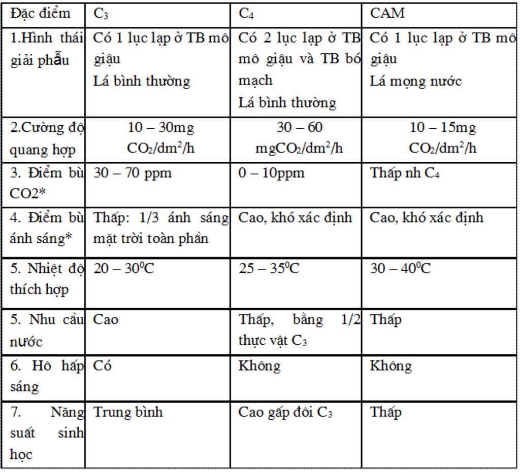 giup-minh-phan-biet-thuc-vat-c3-c4-cam-voi-a-cam-on-nhieu-a