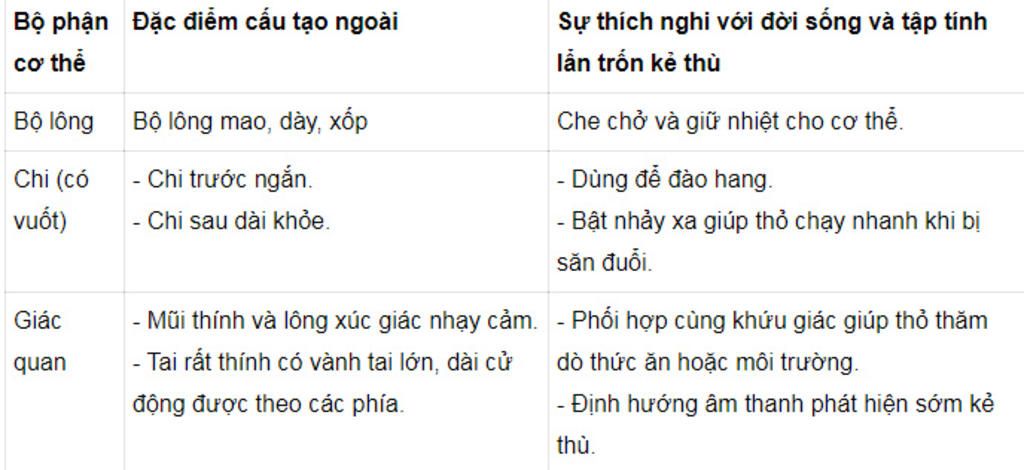 giup-minh-voi-a-lam-chuan-100-nhe-cam-mon-a-cau-1-trinh-bay-cau-tao-ngoai-cua-tho-thich-nghi-voi