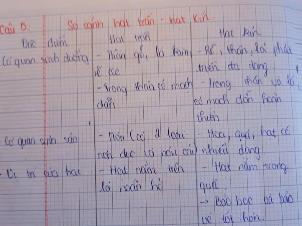 giup-minh-voi-cac-ban-trinh-bay-dac-diem-cua-tung-nhom-thuc-vat-luu-y-dac-diem-dac-trung-cua-nho