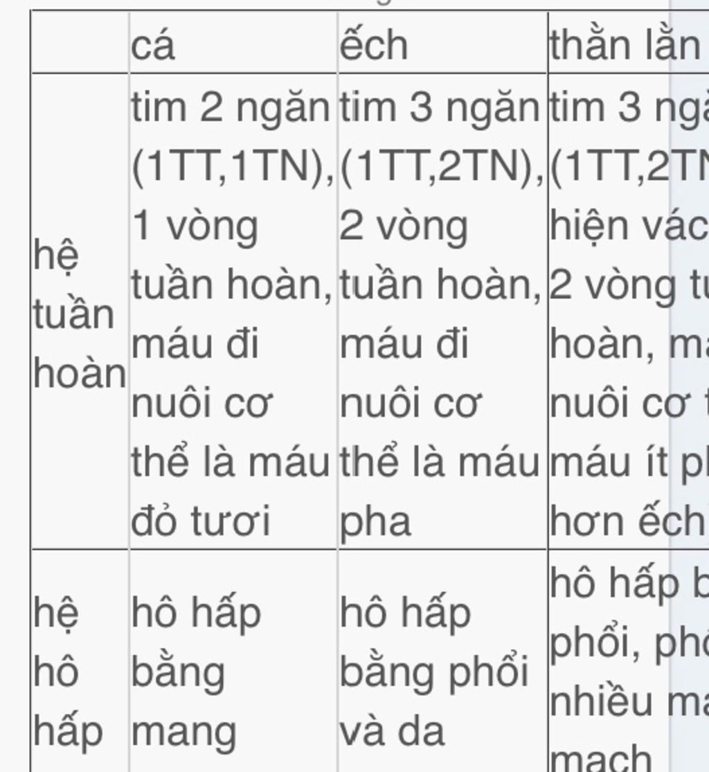 giup-minh-voi-lap-bang-so-sanh-he-ho-hap-va-he-tuan-hoan-cua-ech-than-lan-va-chim