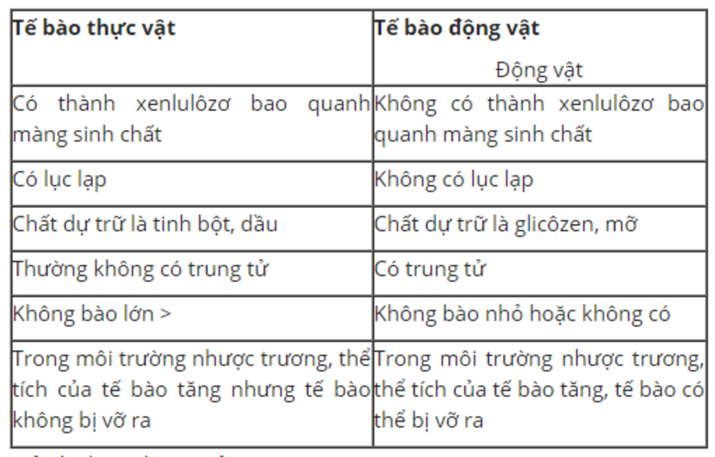 giup-minh-voi-o-﹏-o-minh-cam-on-truoc-a-ㅇㅅㅇ-a-hay-chi-ra-su-giong-nhau-va-khac-nhau-giua-te-bao