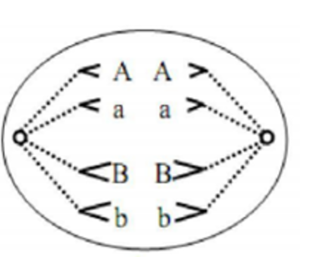 giup-minh-voi-ve-qua-trinh-giam-phan-1-va-2-khi-2n-8-minh-can-gap-ca-ban-giup-minh-voi