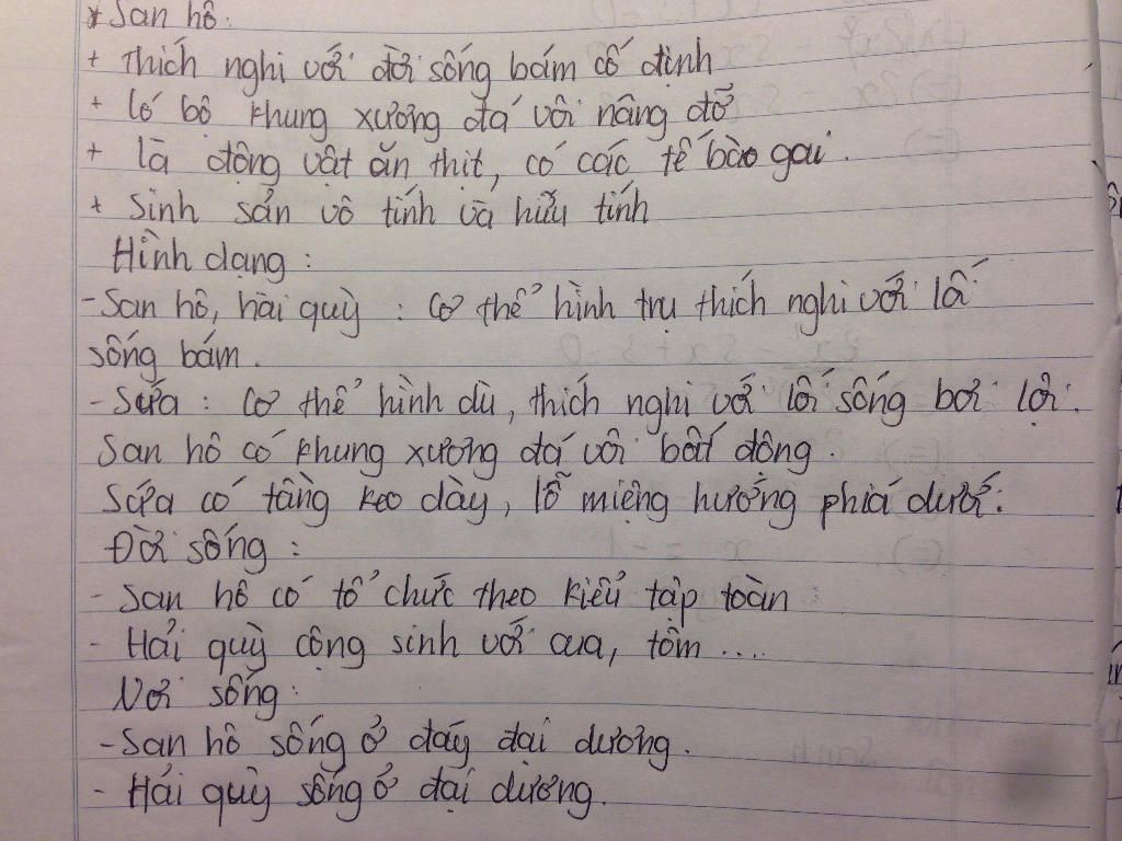 hai-quy-khac-san-ho-o-dac-diem-nao-loai-nao-co-loi-song-bam-va-co-to-chuc-theo-kieu-tap-doan