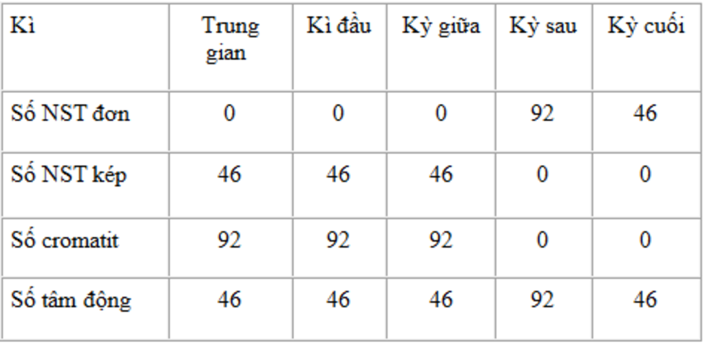 hay-ac-dinh-so-luong-nst-so-tam-dong-so-cromadit-trong-1-te-bao-o-1-qua-trinh-nguyen-phan-nhu-co