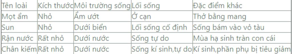 hay-cho-biet-noi-song-kich-thuoc-vai-tro-cua-mot-am-sun-ran-nuoc-chan-kiem-tra-loi-ngan-gon-nha