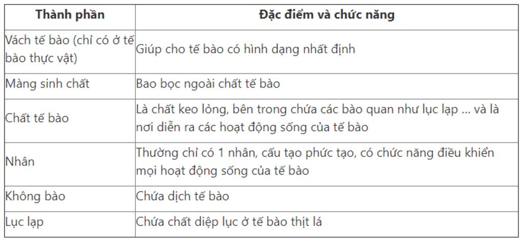 hay-ke-ten-cac-thanh-phan-chinh-cua-te-bao-va-chuc-nang-cua-cac-thanh-phan-do-cac-bn-lm-cho-mk-v