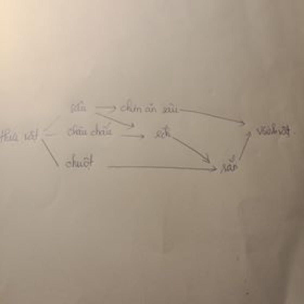 hay-lap-4-chuoi-thuc-an-khac-nhau-tu-nhung-sinh-vat-sau-thuc-vat-sau-vi-sinh-vat-ran-chuot-trau